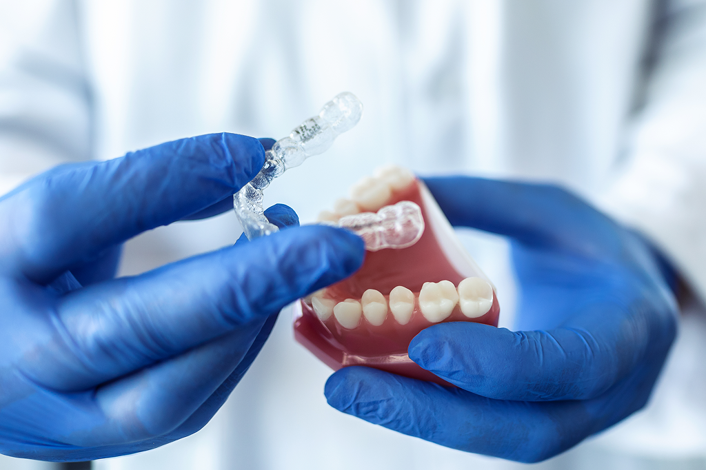 Doctor hold an artificial jaw with invisalign
