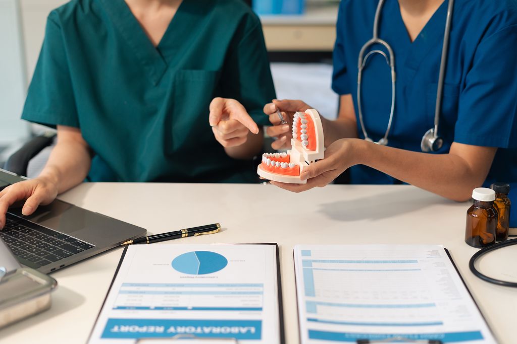 dentist working with dental tooth model 