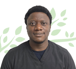 Temi